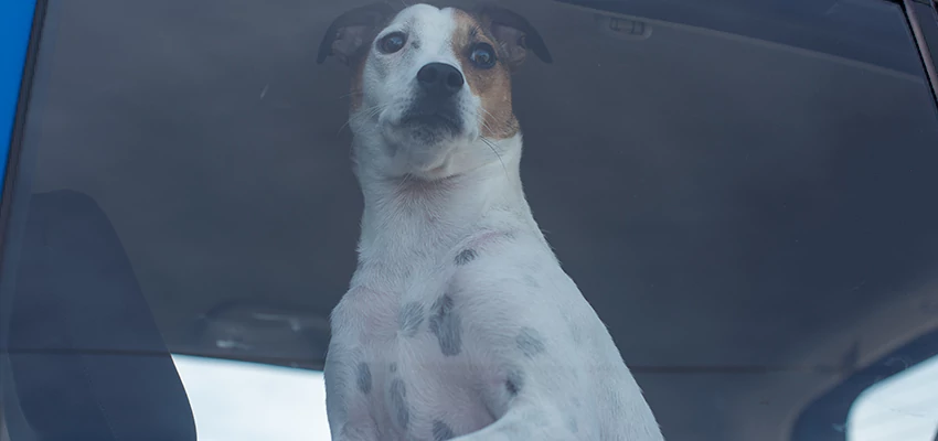 Car Lockout Solutions in North Highlands, California